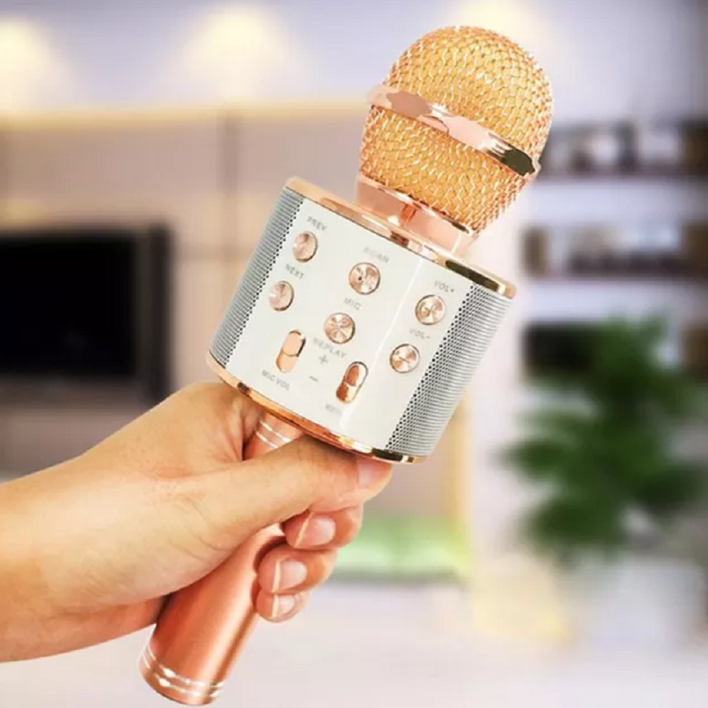 Bluetooth Karaoke mikrofon WS-858 (BBL) (BBV) (1)