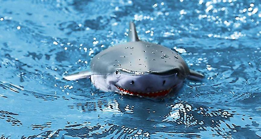 Cápának álcázható távirányítós motorcsónak 9