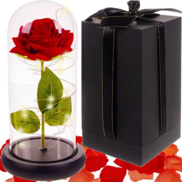 rose in glass