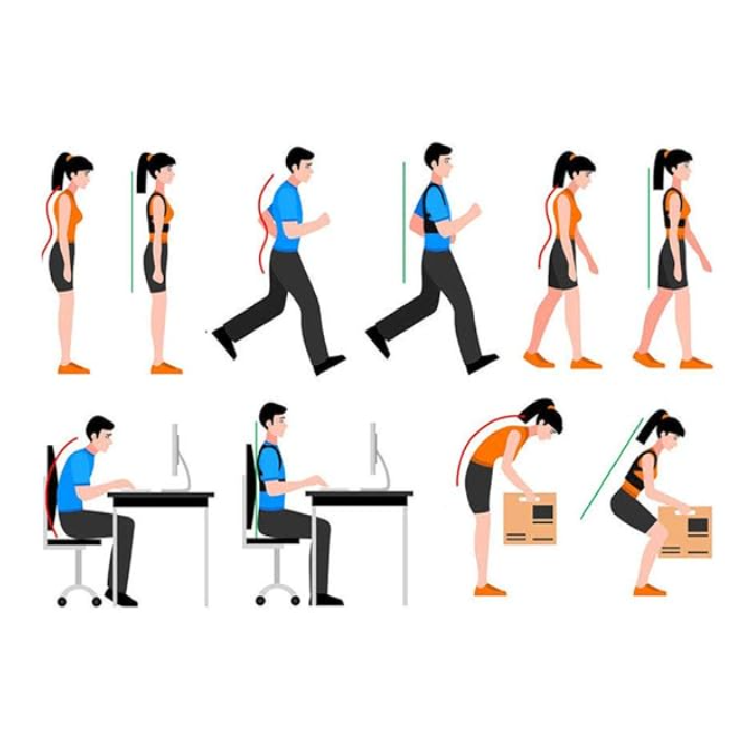 Testtartásjavító hátpánt – állítható, univerzális méretű tartásjavító (BLLV)6